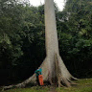 Meet your Posher, Anya